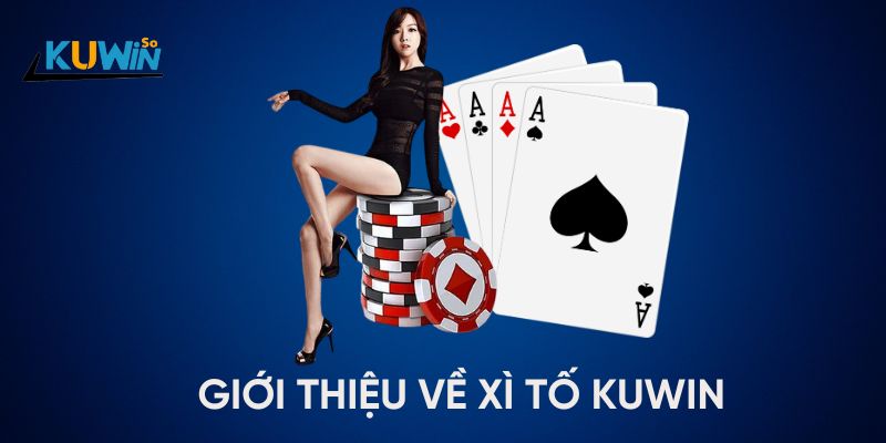 Giới thiệu về Xì tố Kuwin